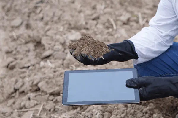 osoba przerowadza badanie gleby zapisując notatki w tablecie
